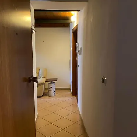 Il Tesoro Di Alarico * Cosenza